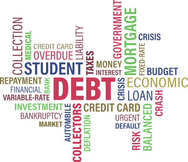 Debt Strategies
